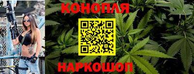 гидропоника Будённовск